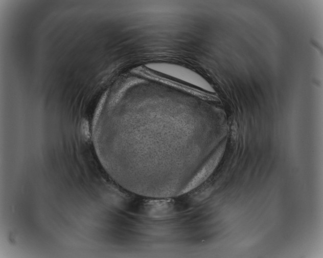 X0000090990089200708241436