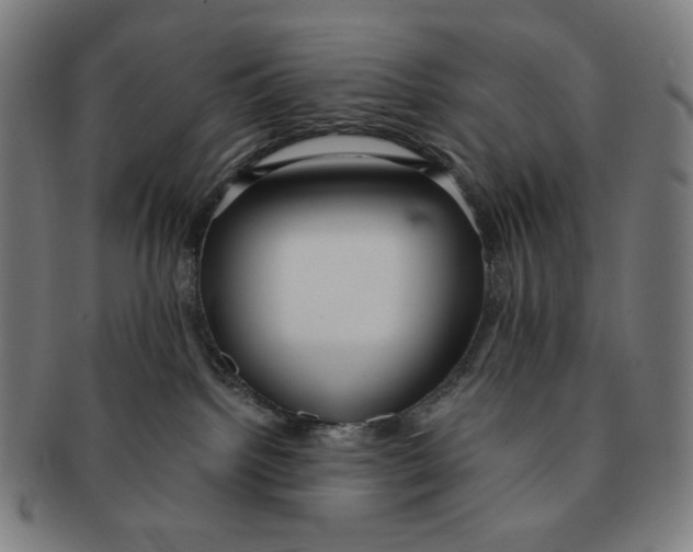 X0000090990092200708241436