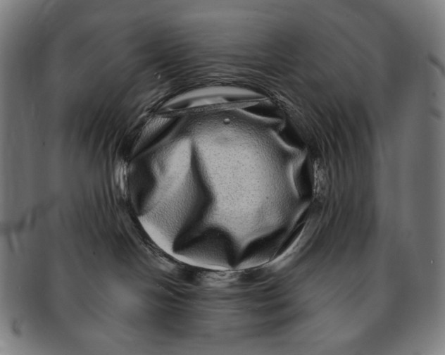 X0000090990094200708241436