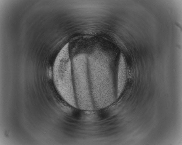 X0000090990095200708241436