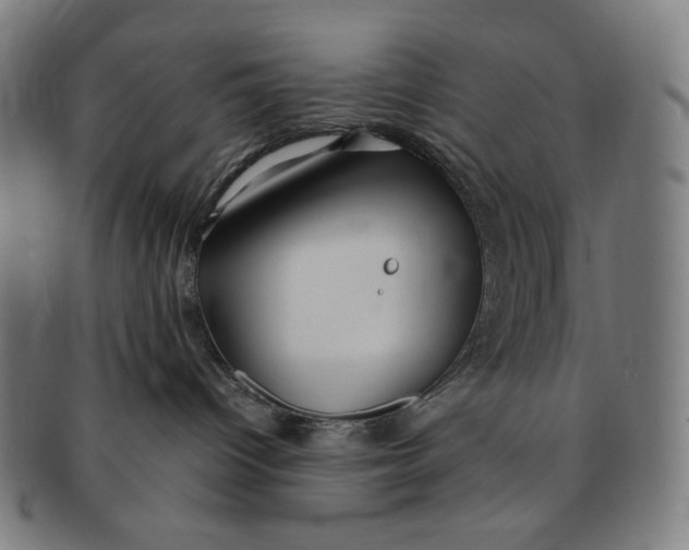 X0000090990096200708241436