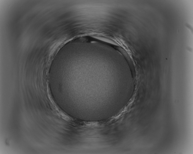 X0000090990097200708241435