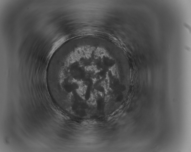 X0000090990099200708241435