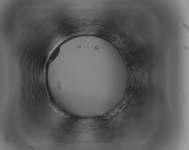 X0000090990100200708241435