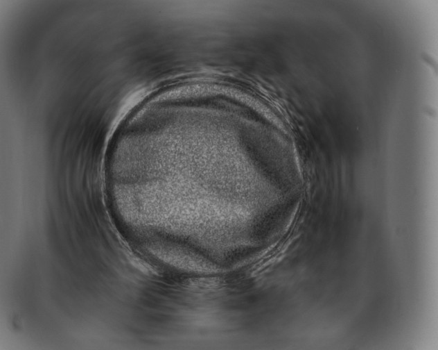 X0000090990102200708241435