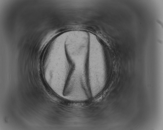 X0000090990103200708241435