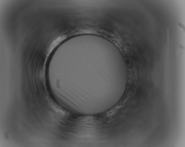 X0000090990104200708241435