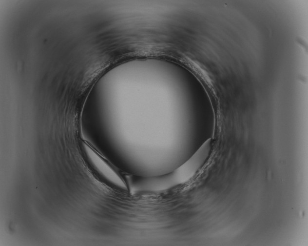 X0000090990105200708241435