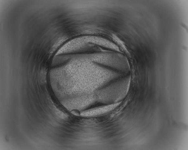 X0000090990106200708241435