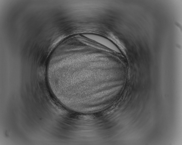 X0000090990107200708241435