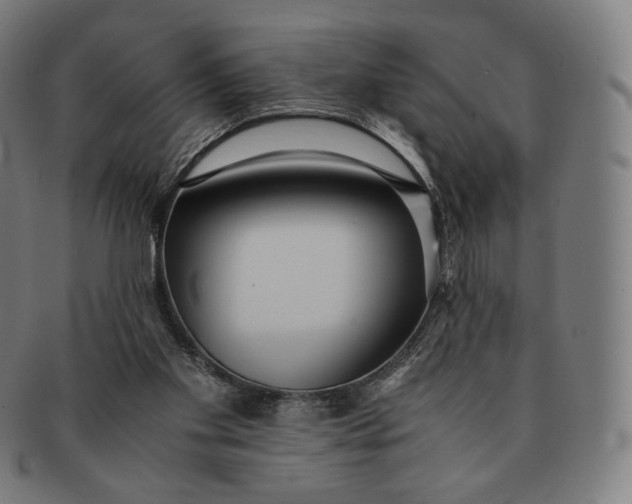 X0000090990109200708241435