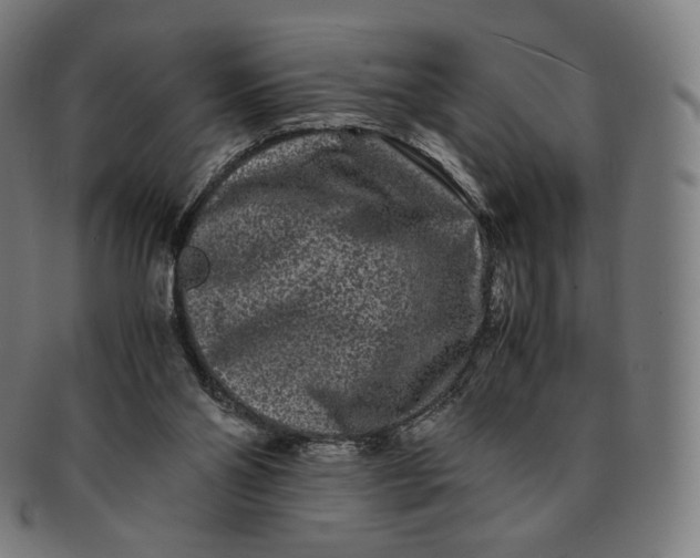 X0000090990110200708241435