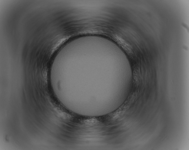 X0000090990112200708241435