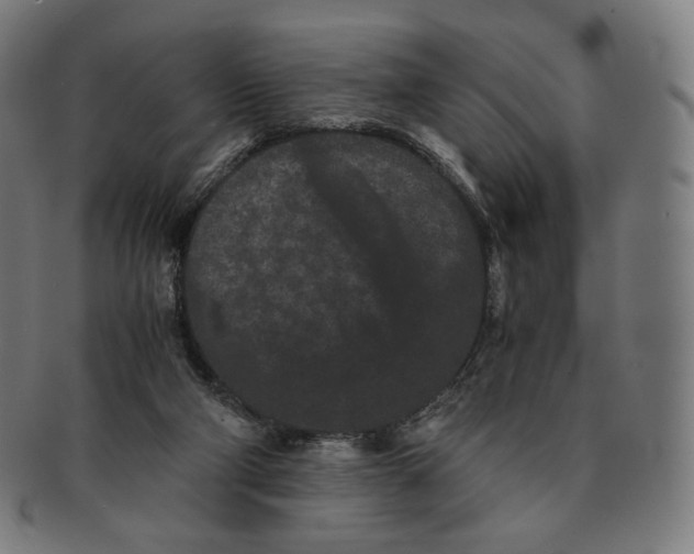 X0000090990114200708241435