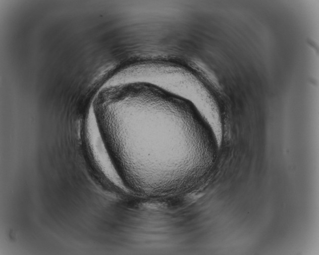 X0000090990115200708241435