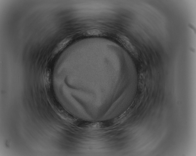 X0000090990116200708241435