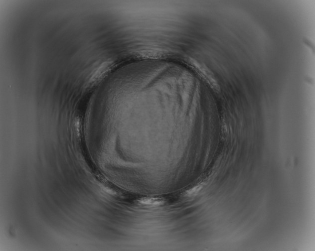 X0000090990117200708241435