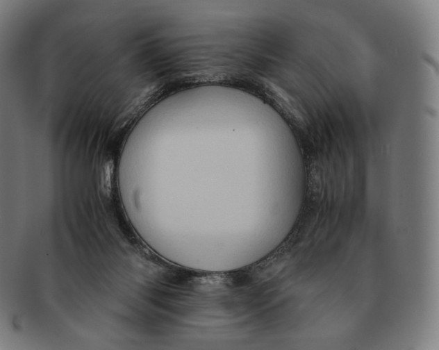 X0000090990118200708241435