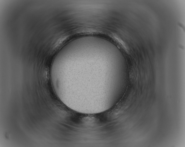 X0000090990119200708241435