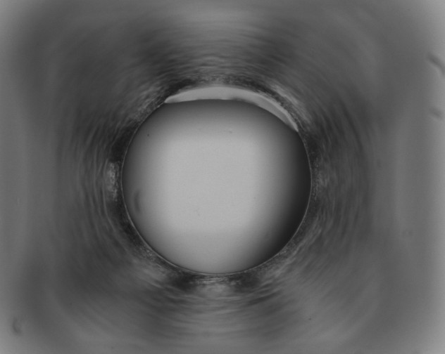 X0000090990121200708241435