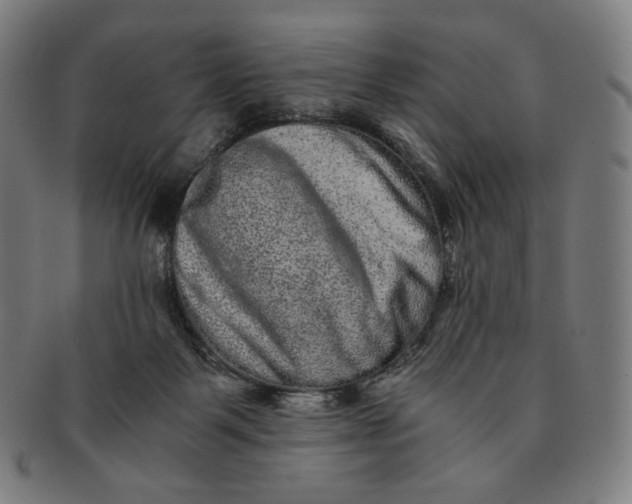 X0000090990123200708241435