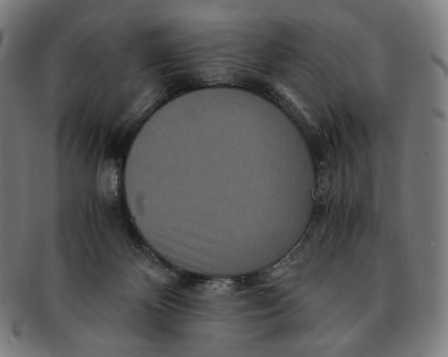 X0000090990124200708241435