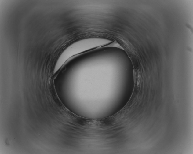 X0000090990125200708241435