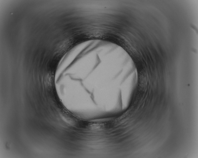 X0000090990126200708241435