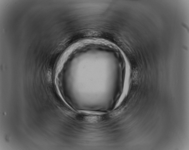 X0000090990131200708241435