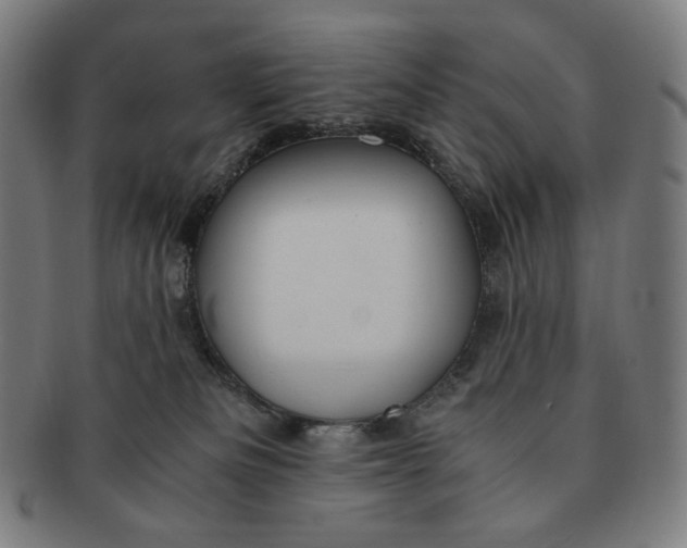 X0000090990133200708241435