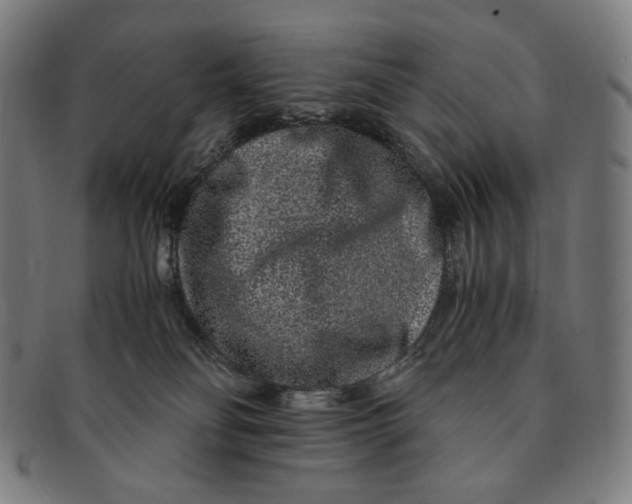 X0000090990134200708241435