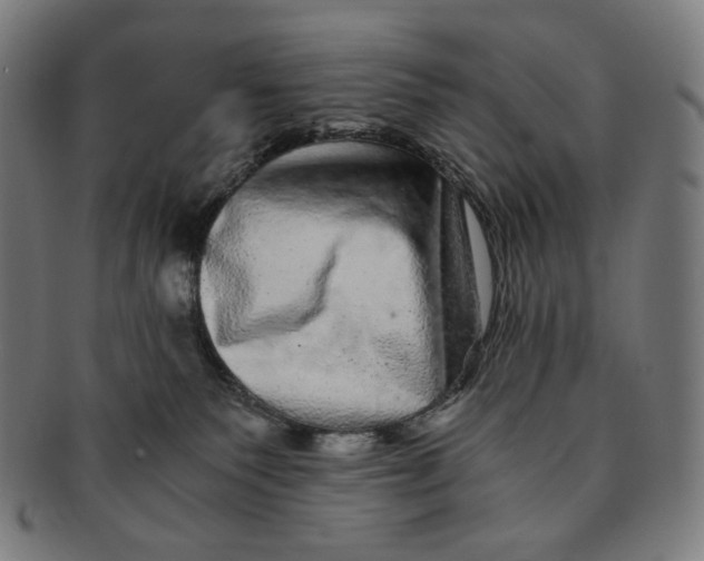 X0000090990135200708241435