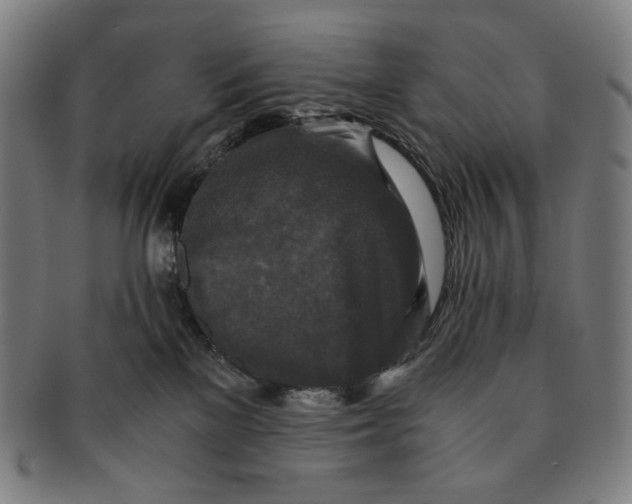 X0000090990137200708241435