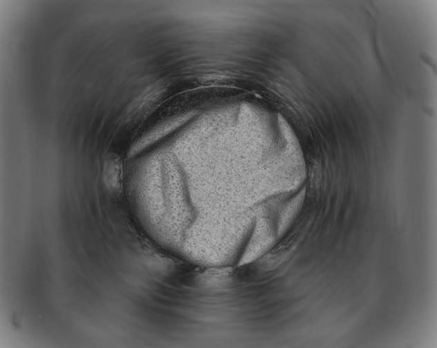 X0000090990138200708241435