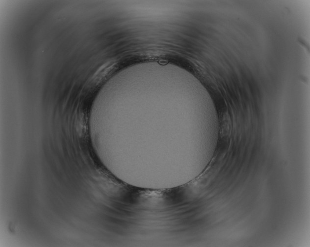 X0000090990140200708241435