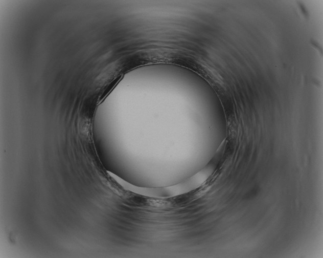 X0000090990141200708241435