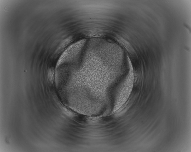 X0000090990142200708241435