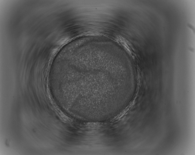 X0000090990145200708241434