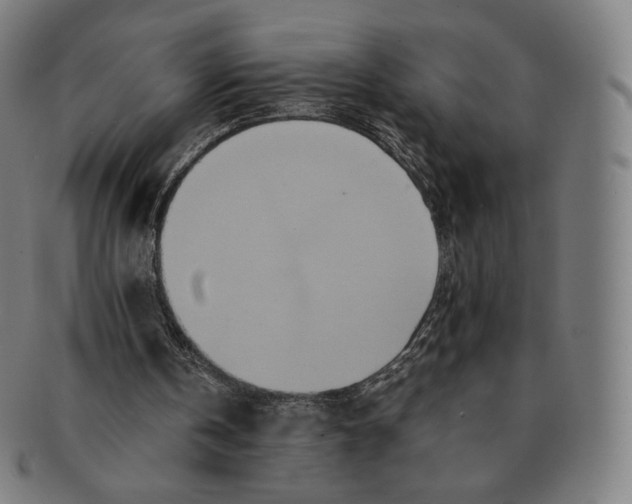 X0000090990146200708241434