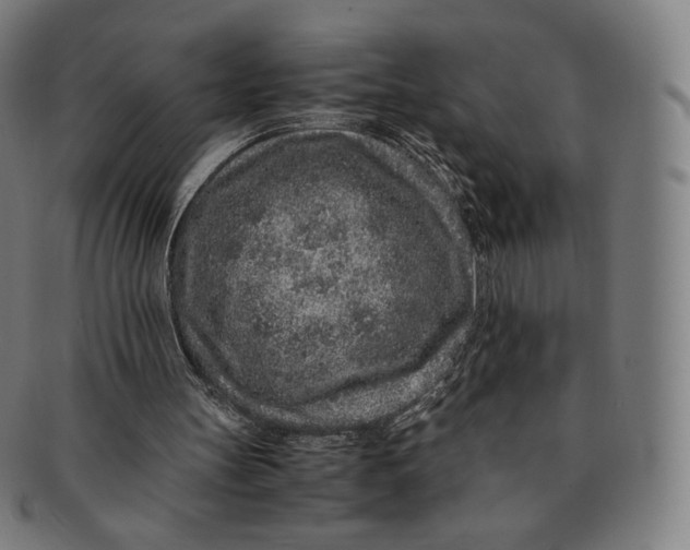 X0000090990147200708241434