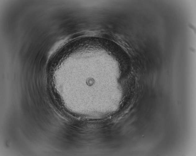 X0000090990149200708241434