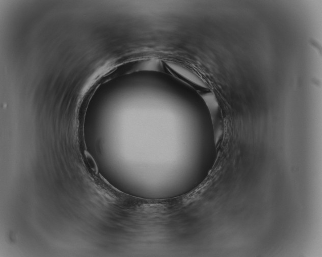 X0000090990150200708241434