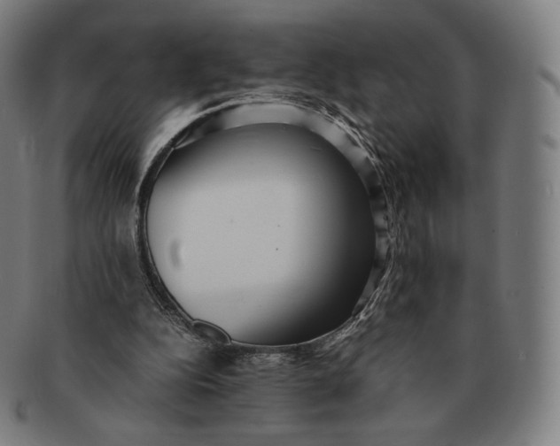 X0000090990152200708241434