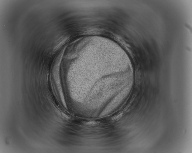 X0000090990153200708241434