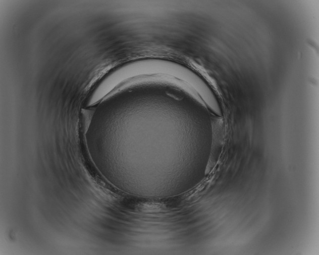 X0000090990154200708241434