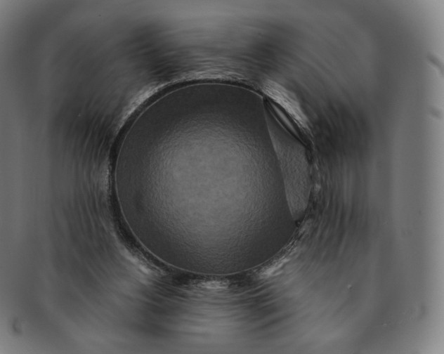 X0000090990156200708241434