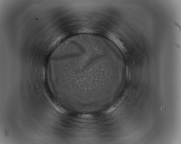 X0000090990157200708241434