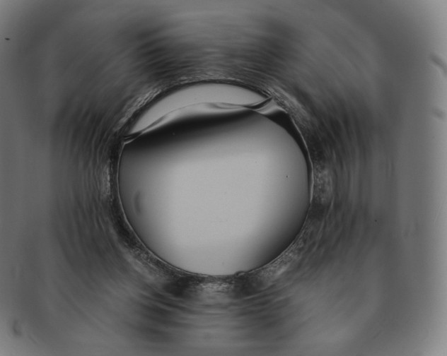 X0000090990158200708241434