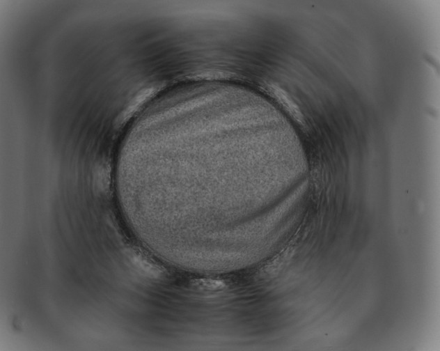 X0000090990159200708241434