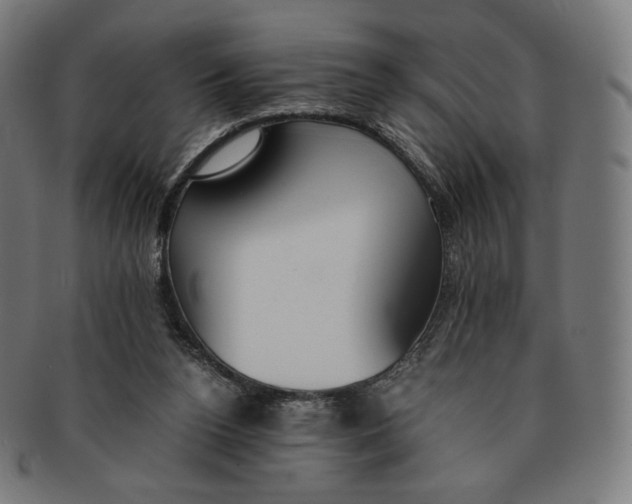 X0000090990160200708241434